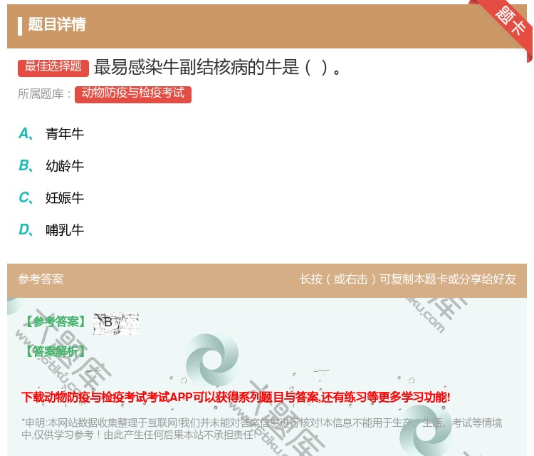 答案:最易感染牛副结核病的牛是...