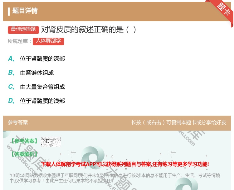 答案:对肾皮质的叙述正确的是...