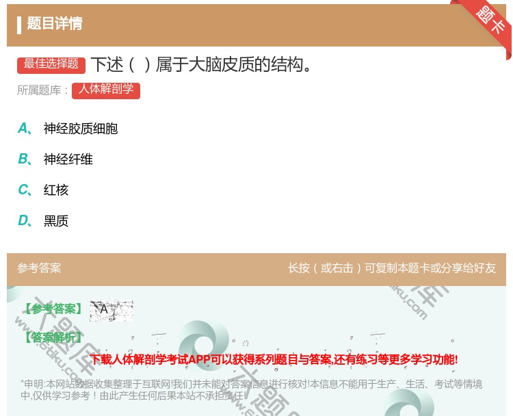 答案:下述属于大脑皮质的结构...