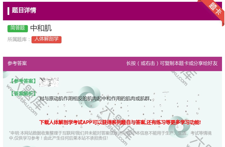 答案:中和肌...