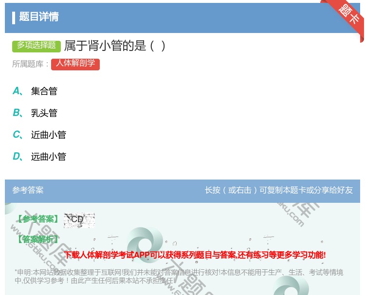 答案:属于肾小管的是...