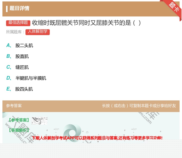 答案:收缩时既屈髋关节同时又屈膝关节的是...
