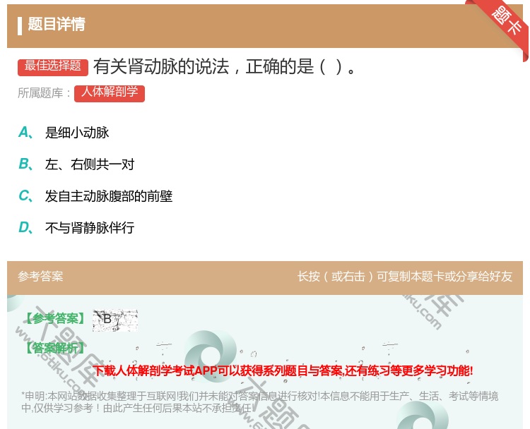 答案:有关肾动脉的说法正确的是...