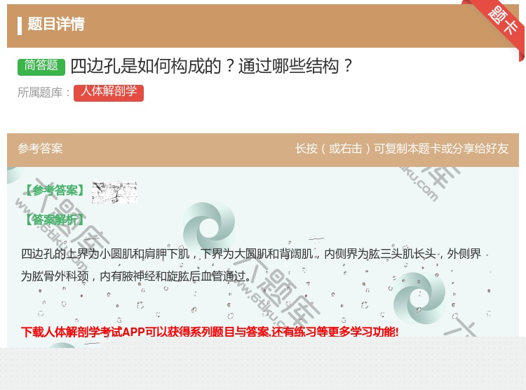 答案:四边孔是如何构成的通过哪些结构...