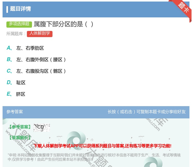 答案:属腹下部分区的是...