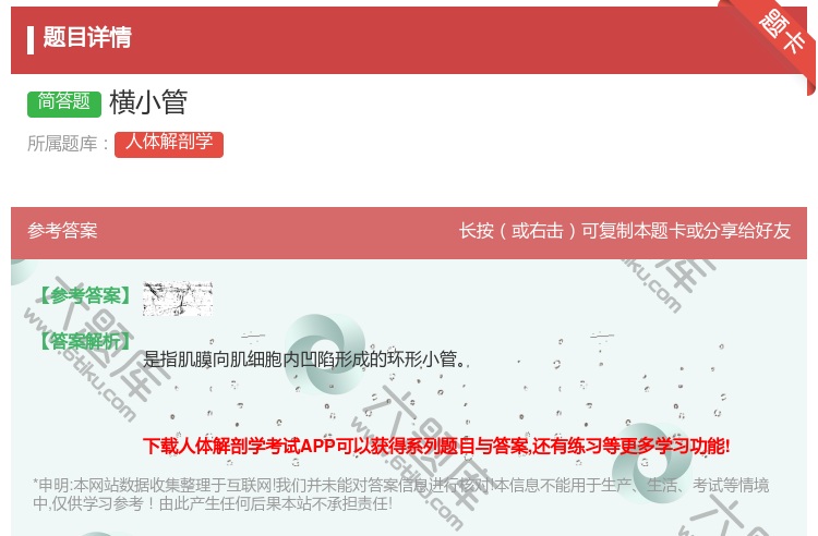 答案:横小管...